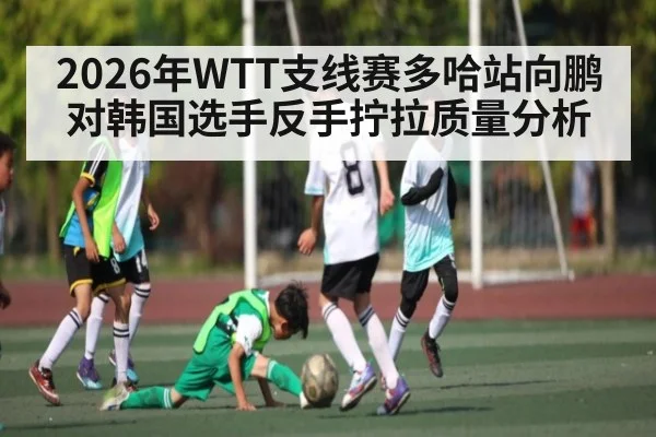 2026年WTT支线赛多哈站向鹏对韩国选手反手拧拉质量分析